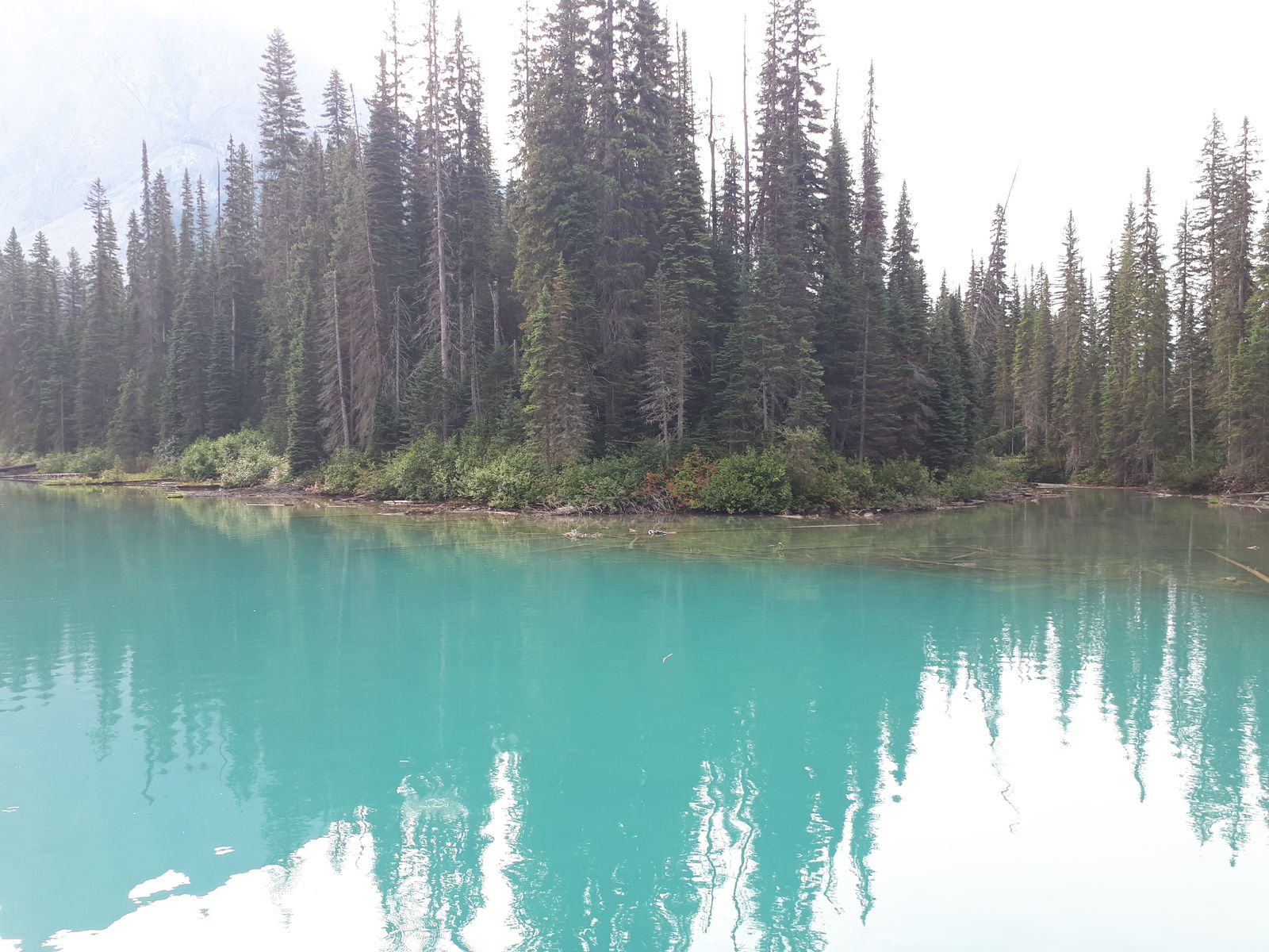 20190908_094912.jpg