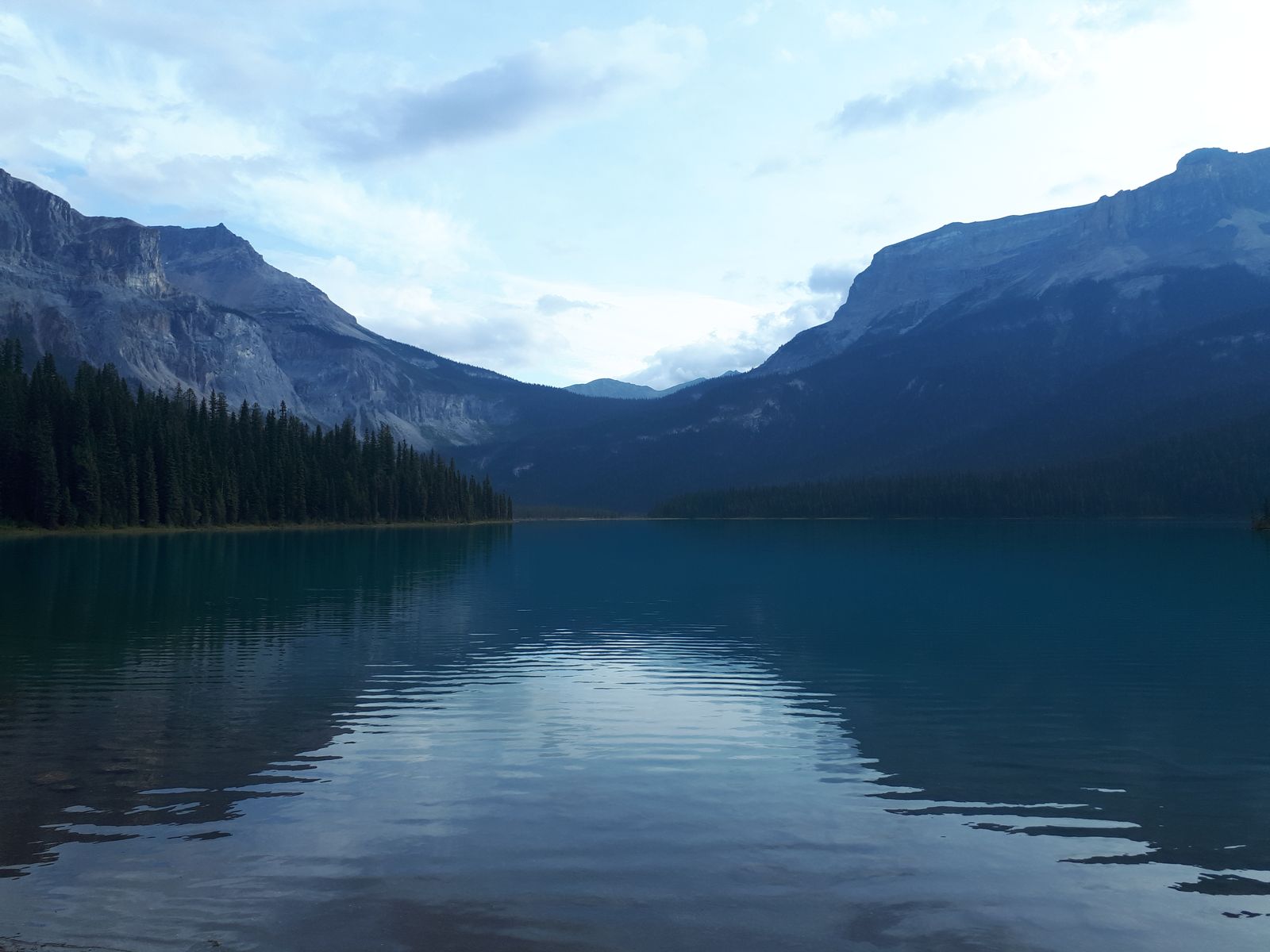 20190908_095442.jpg