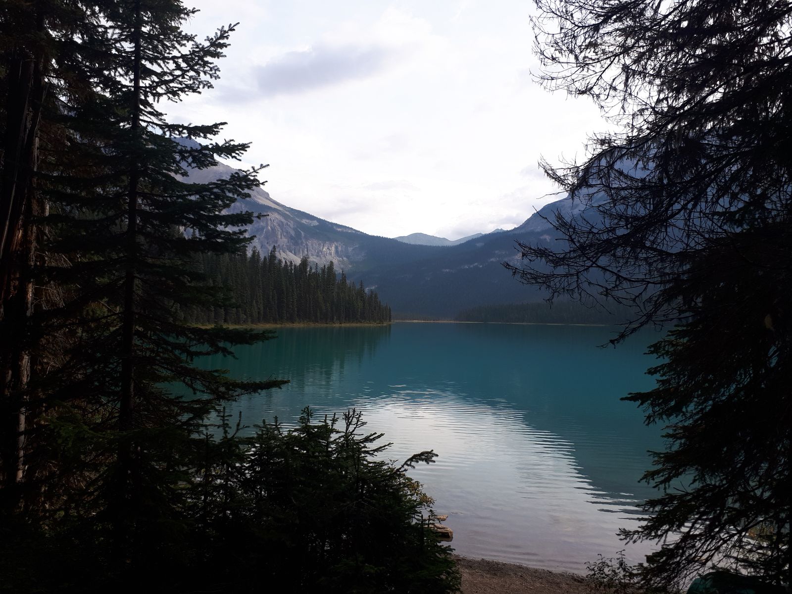 20190908_095609.jpg