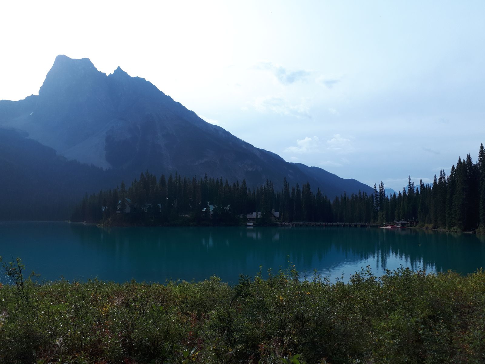 20190908_095915.jpg
