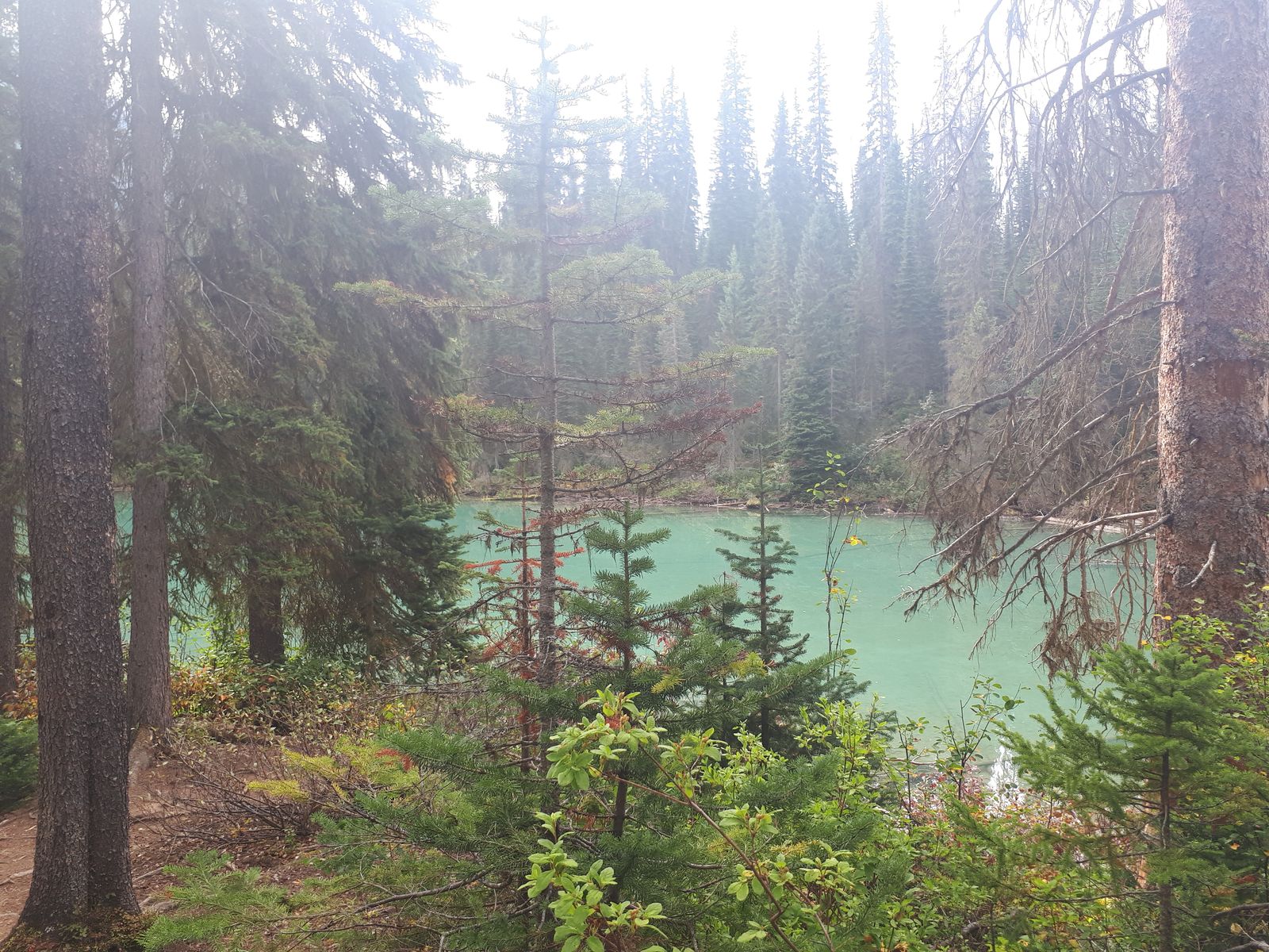 20190908_113433.jpg