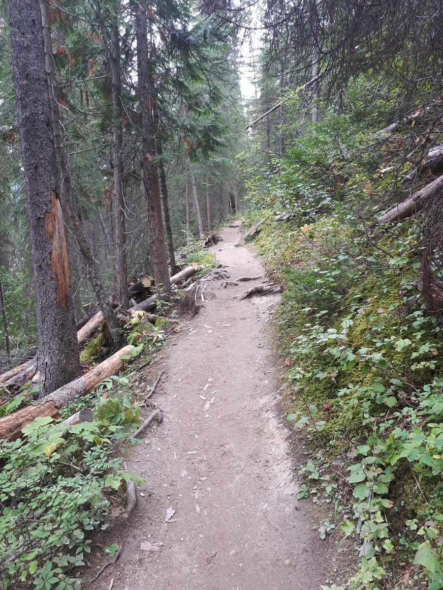 20190908_130404.jpg