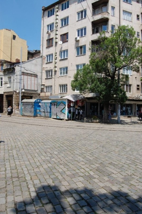 DSC_8419.JPG