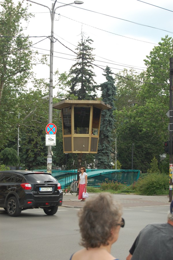 DSC_8515.JPG