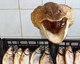 20190928_121709.jpg