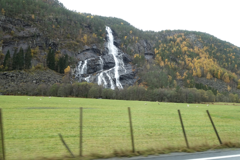 image014.jpg