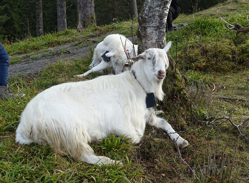 image053a.jpg
