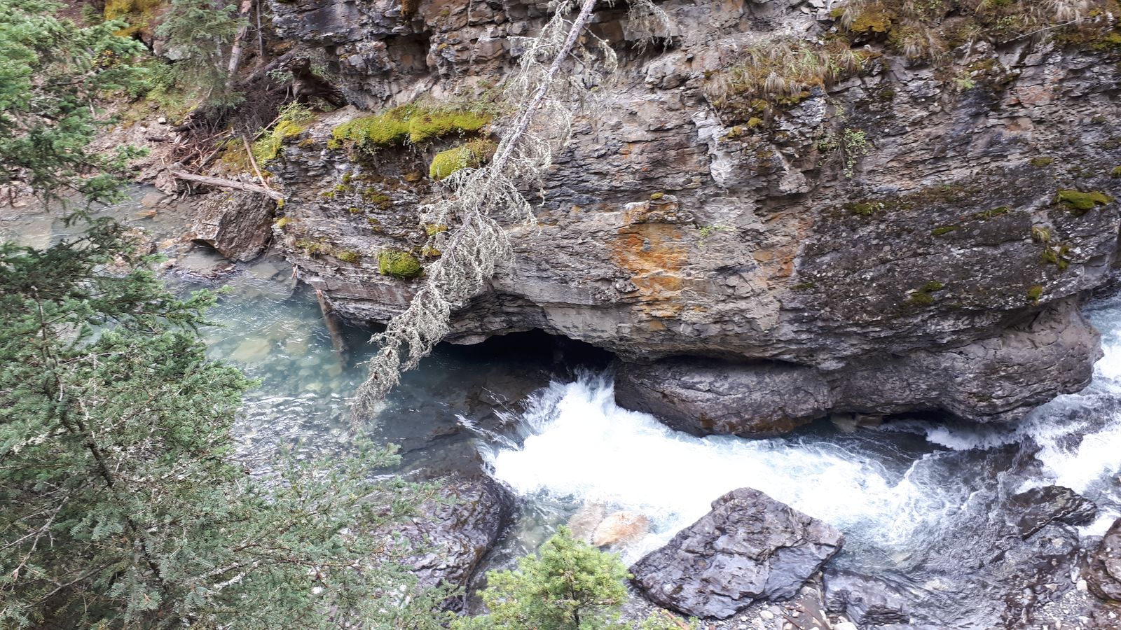 20190909_093654.jpg