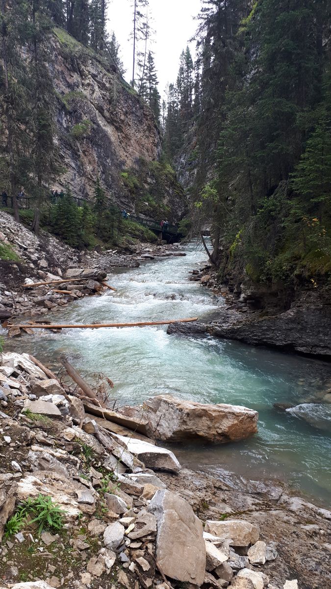 20190909_094220.jpg