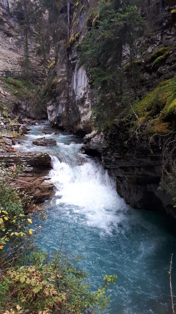 20190909_094557.jpg