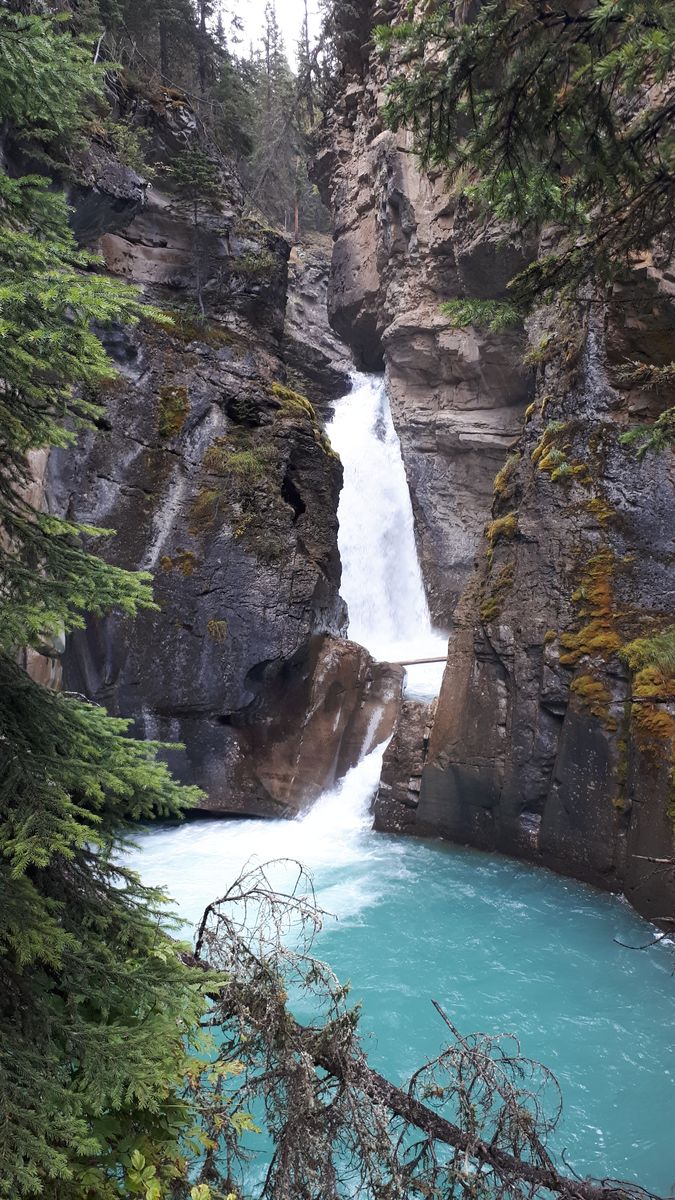 20190909_094907.jpg