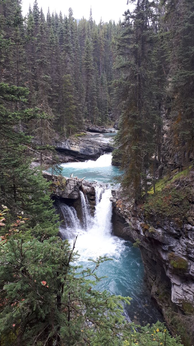 20190909_100218.jpg