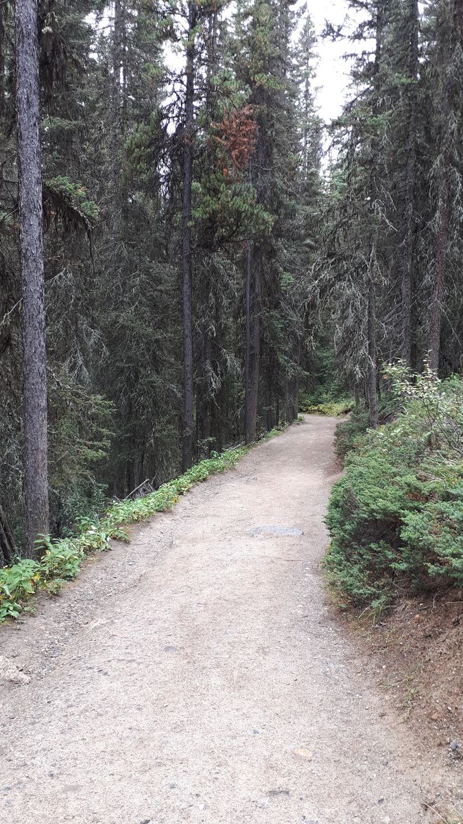 20190909_104231.jpg