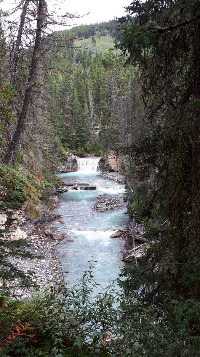 20190909_125041.jpg