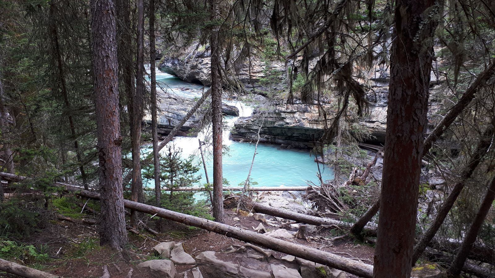 20190909_125641.jpg