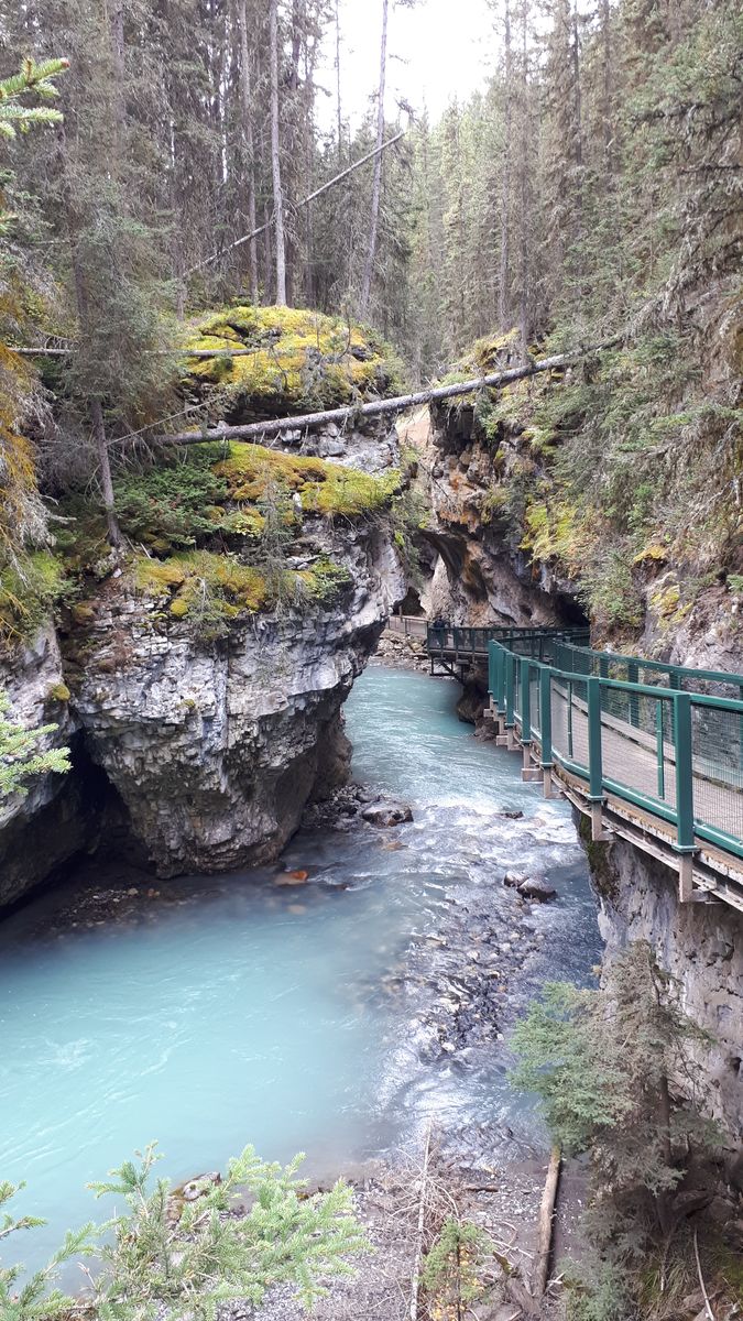20190909_125942.jpg