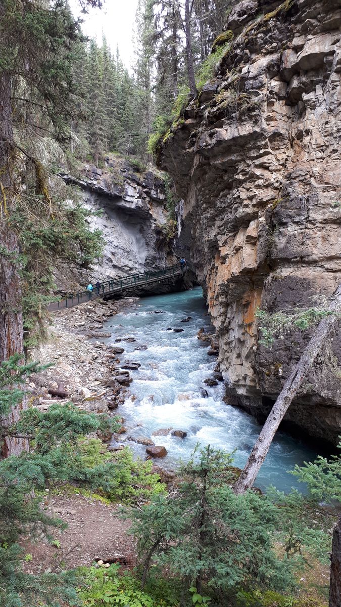 20190909_130141.jpg