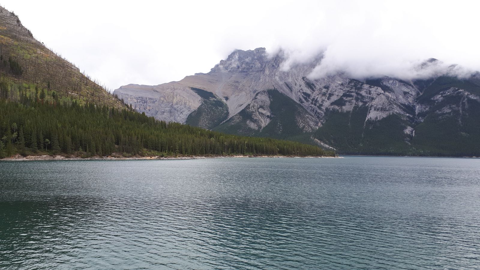 20190909_150537.jpg