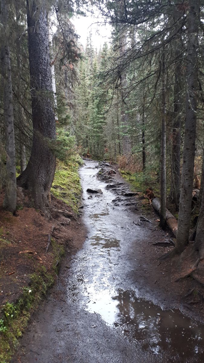 20190910_104611.jpg