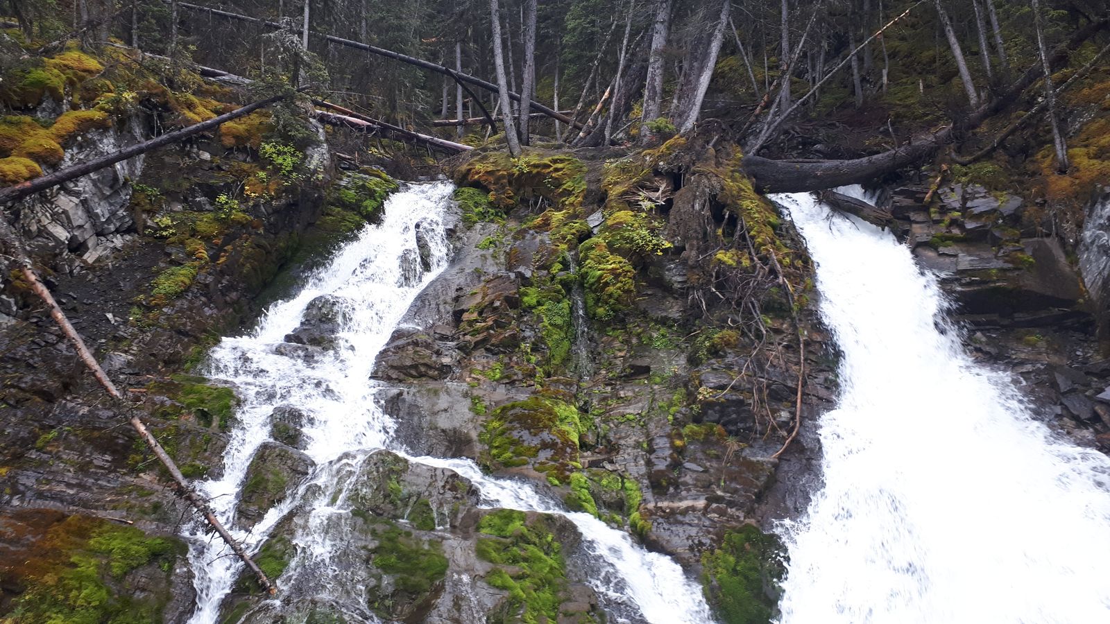 20190910_104727.jpg