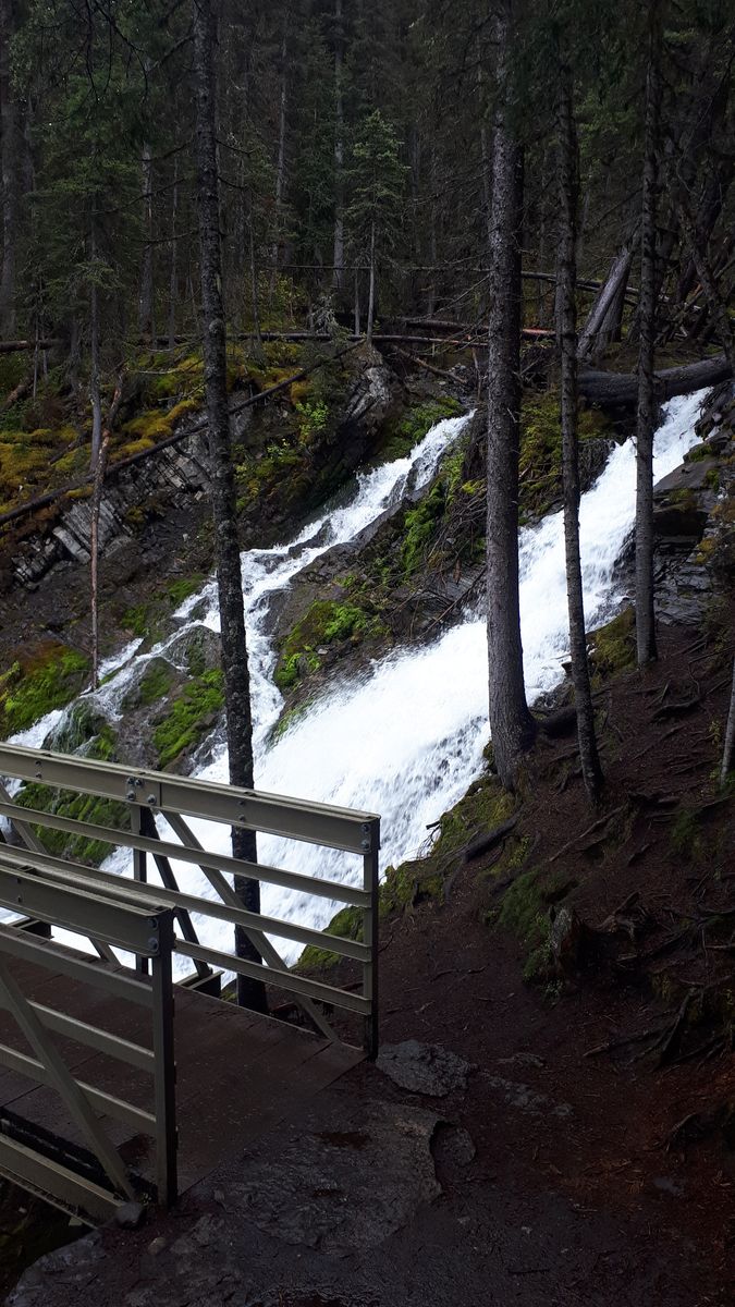 20190910_104831.jpg