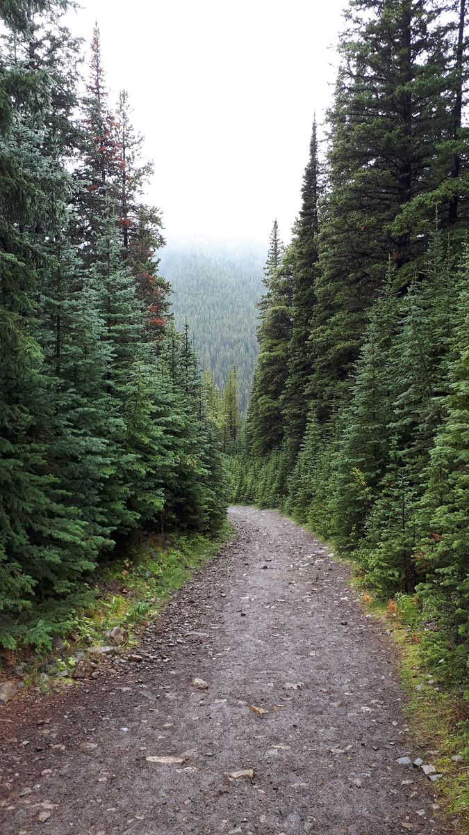 20190910_141021.jpg