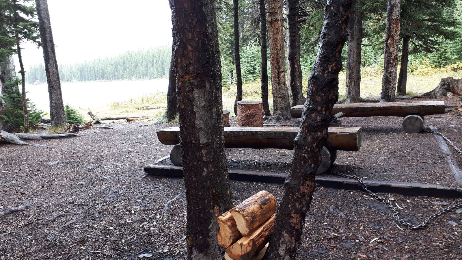 20190910_142938.jpg