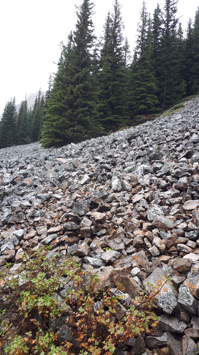20190910_144606.jpg