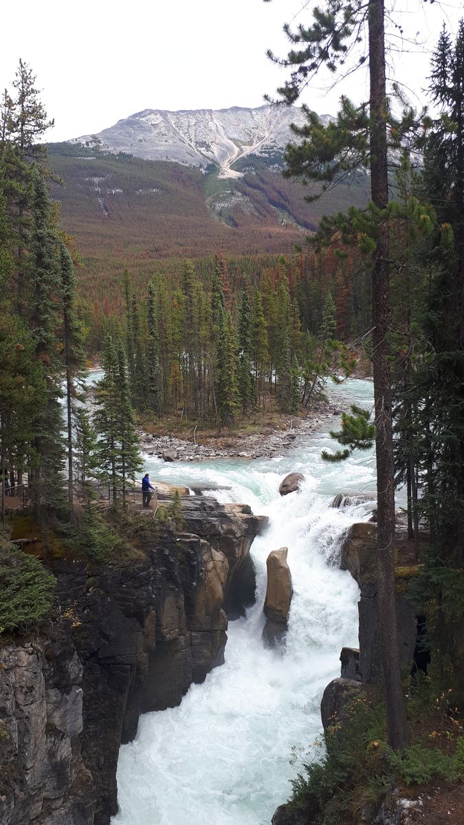 20190911_132938.jpg