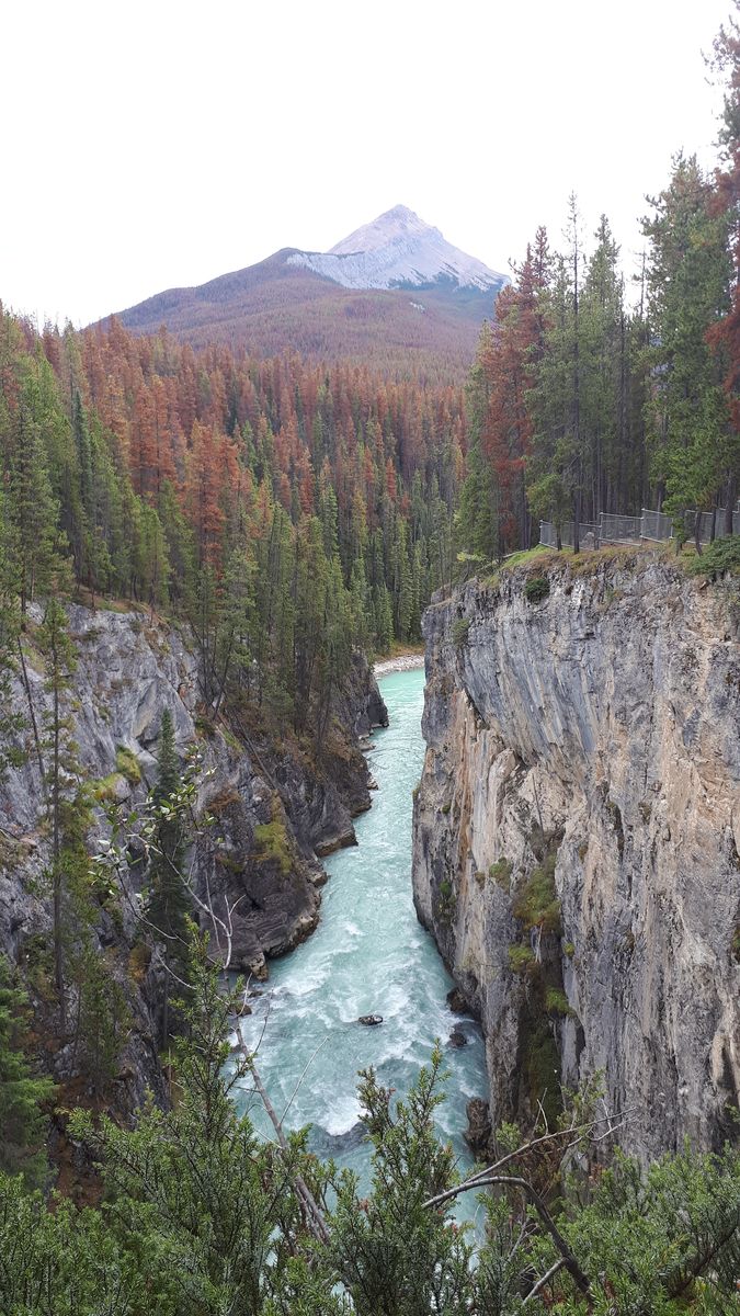 20190911_134941.jpg