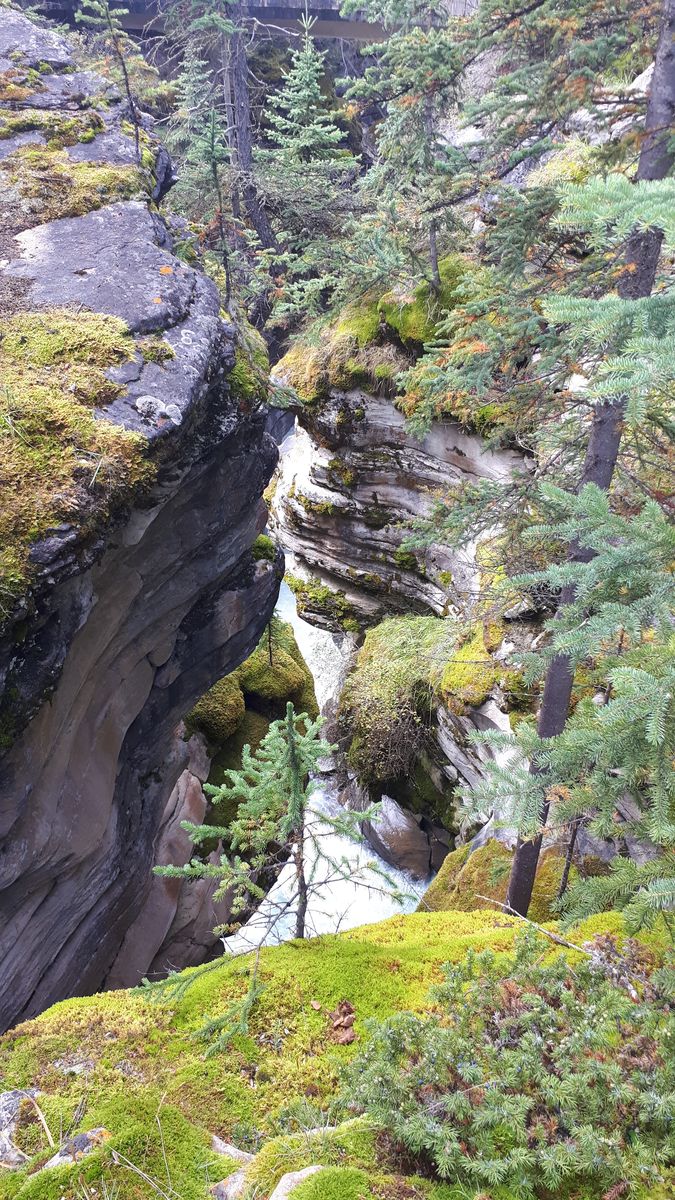 20190911_142500.jpg