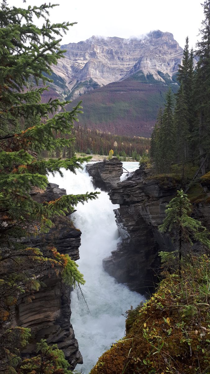20190911_142728.jpg