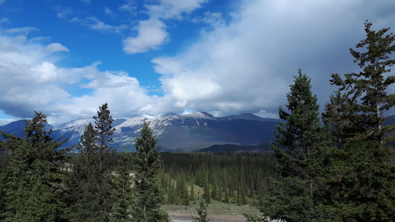 20190911_154150.jpg