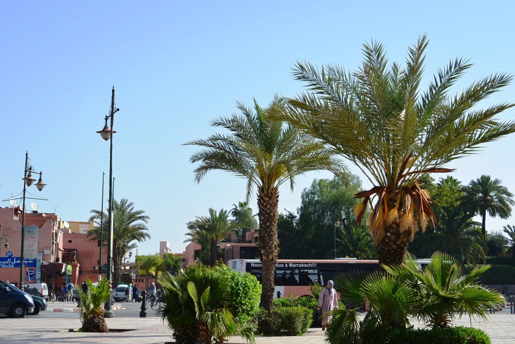 DSC_0722.JPG