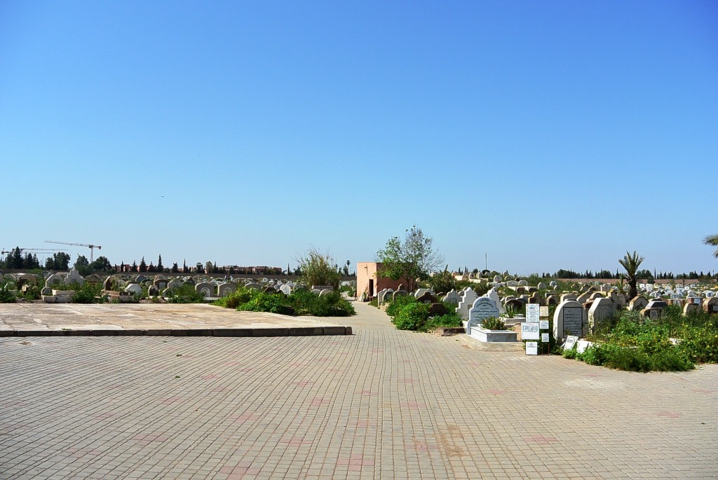 DSC_0798.JPG