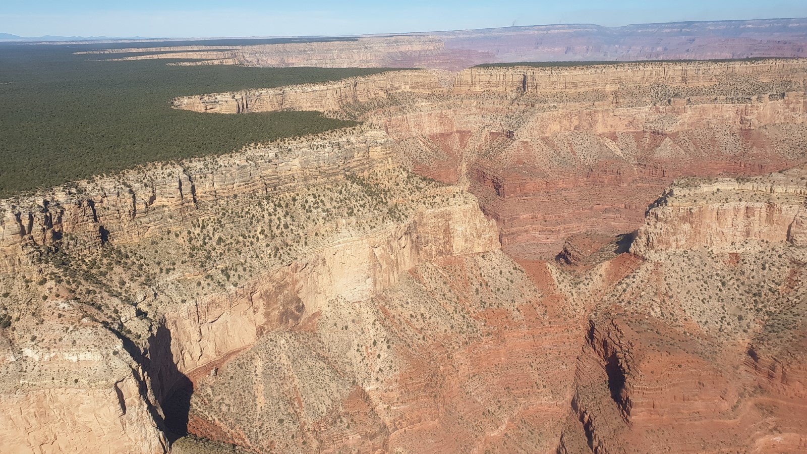 20191019_102248.jpg