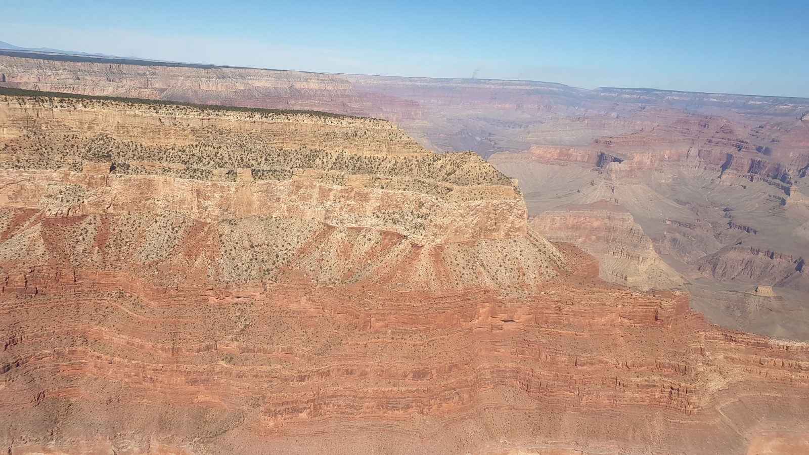 20191019_102332.jpg