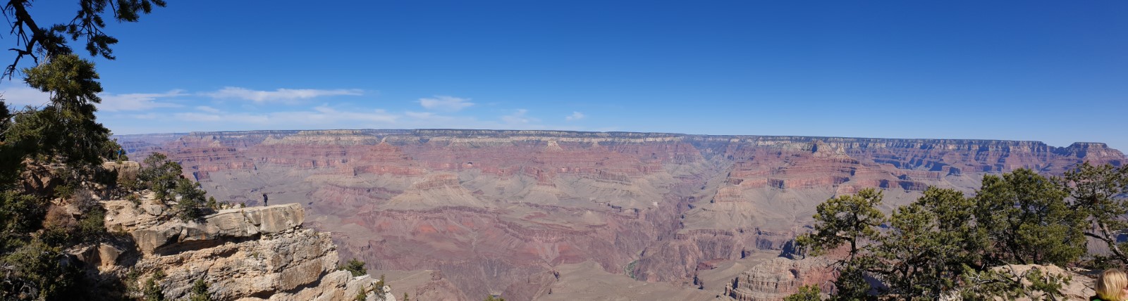20191019_120139.jpg