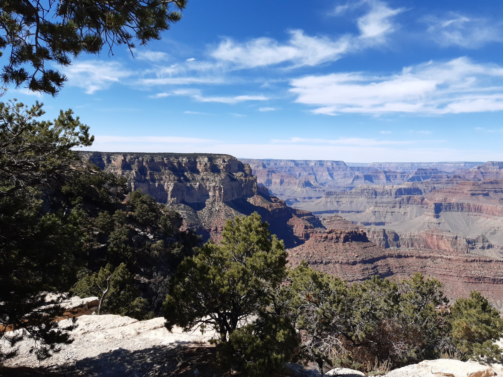 20191019_123747.jpg
