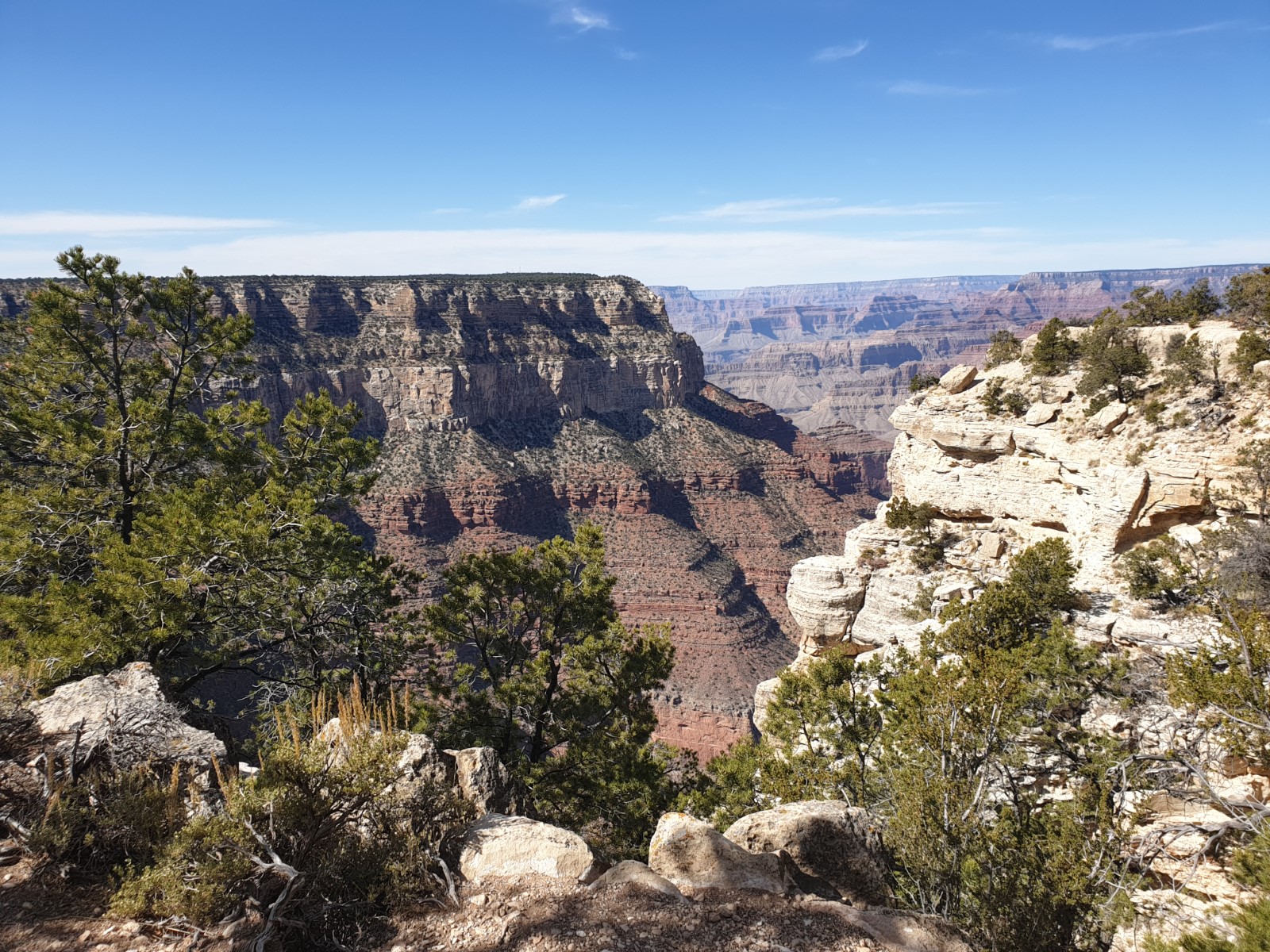 20191019_125954.jpg