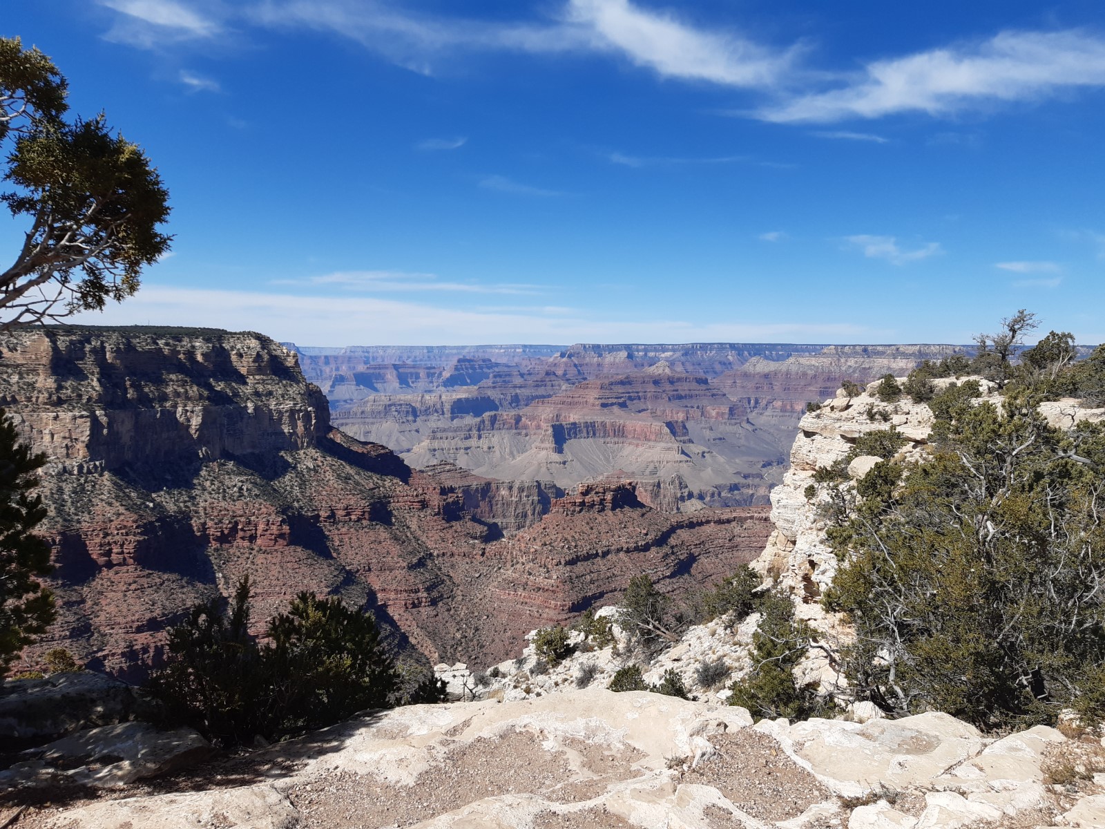 20191019_130139.jpg