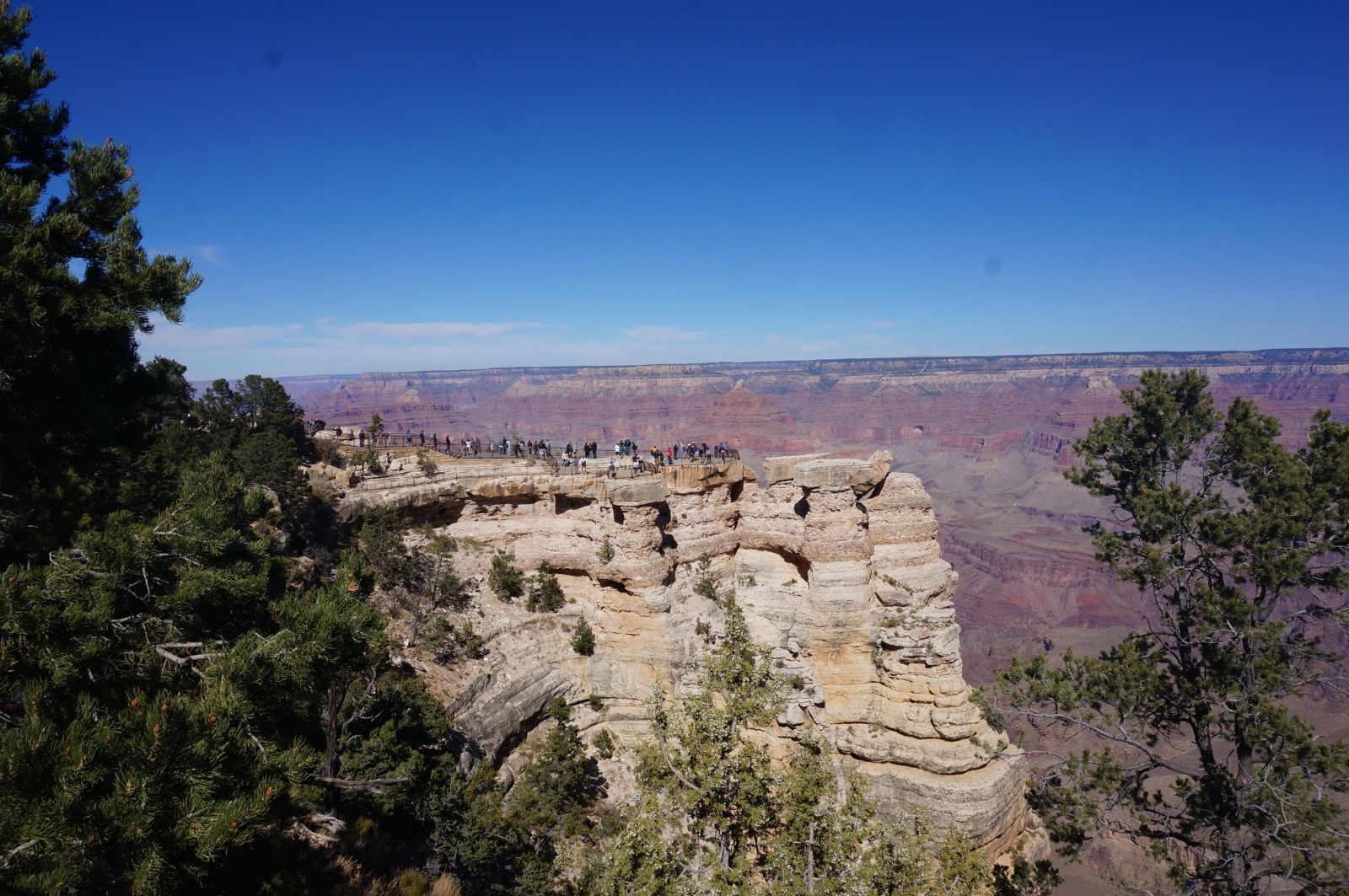 DSC07314.JPG