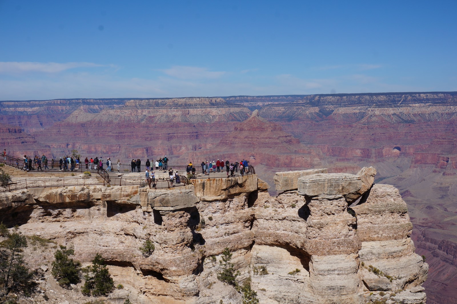 DSC07315.JPG