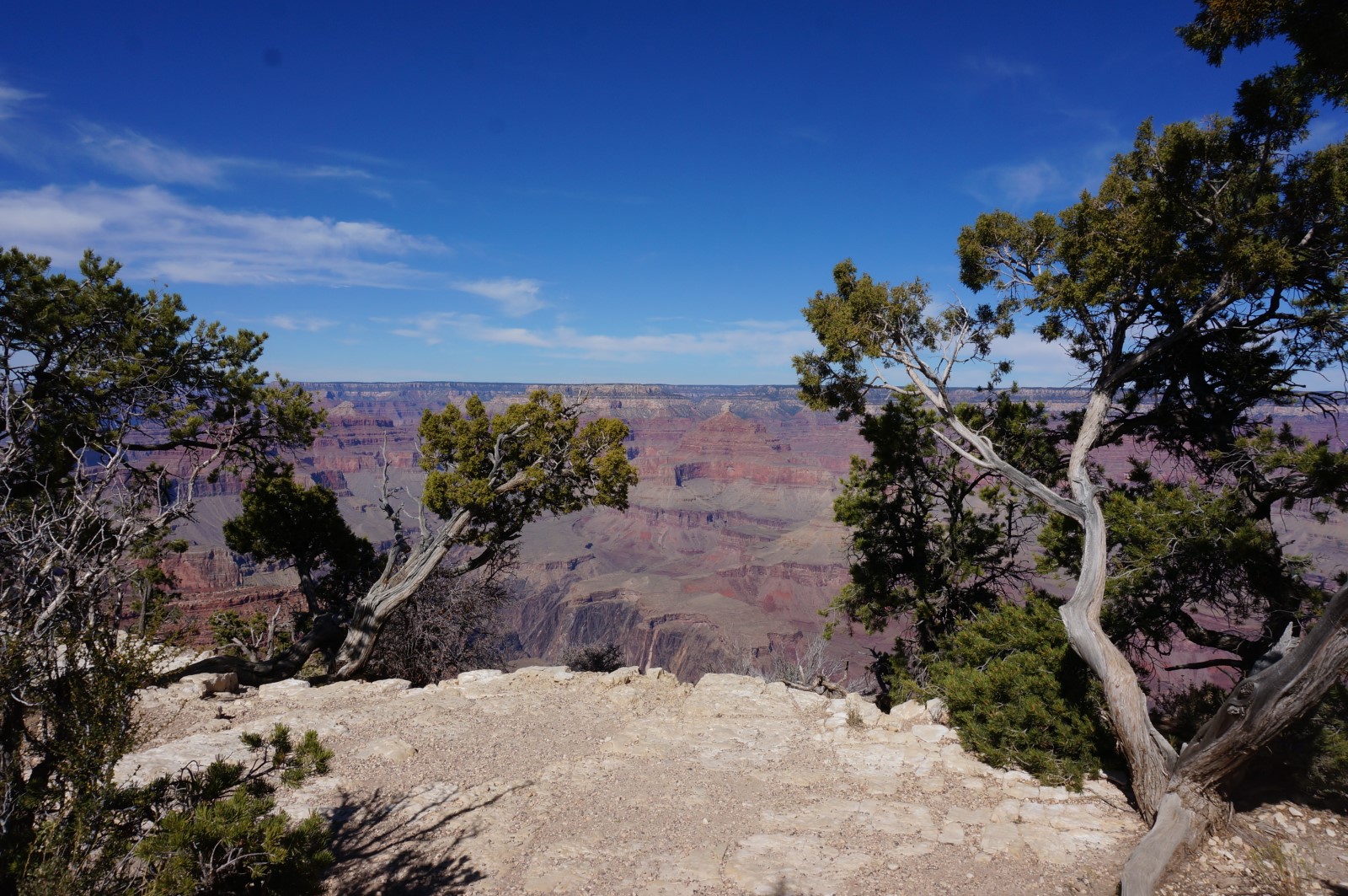 DSC07367.JPG