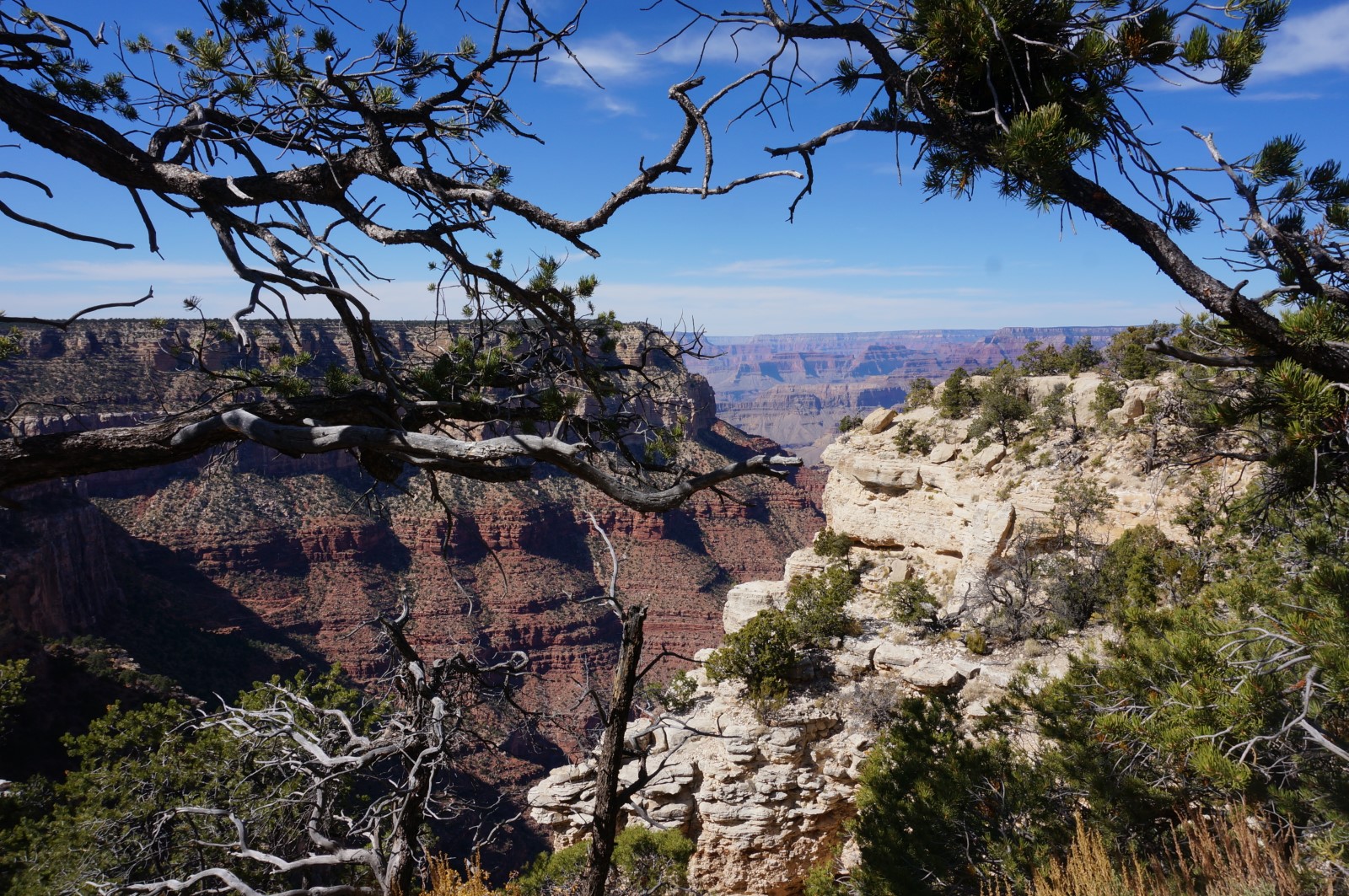 DSC07383.JPG