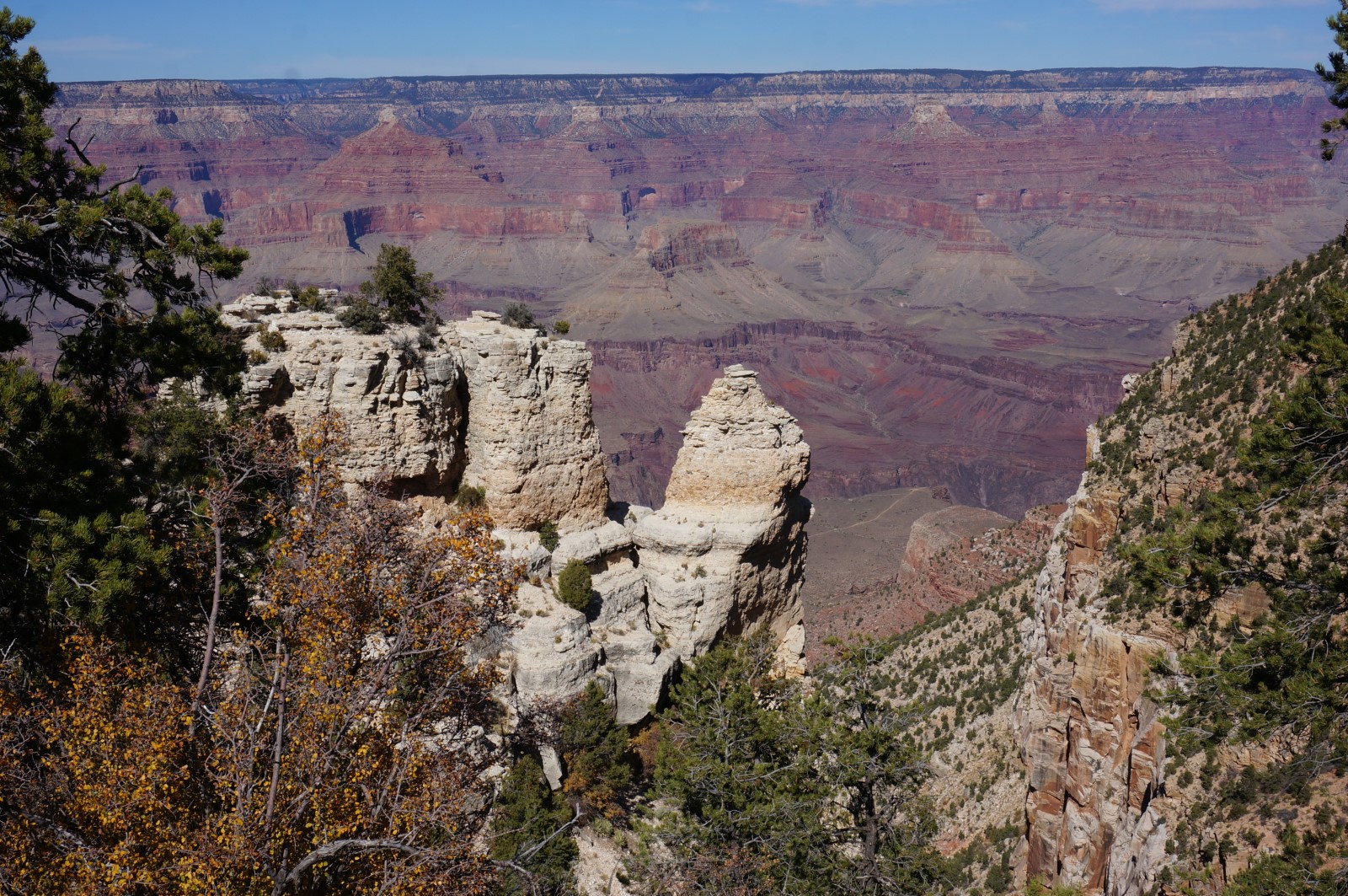 DSC07384.JPG