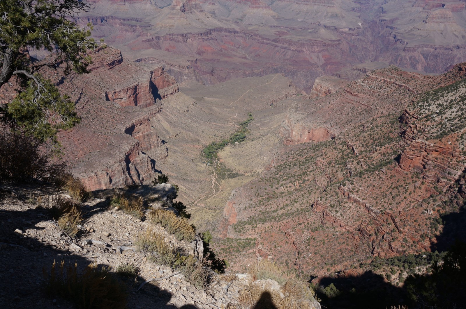 DSC07390.JPG