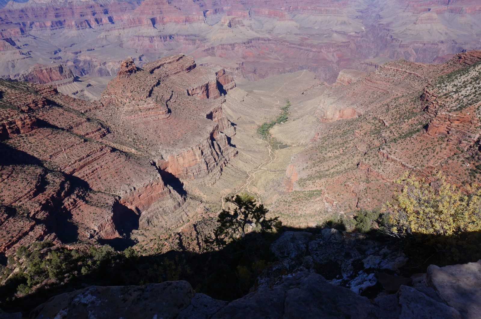 DSC07397.JPG