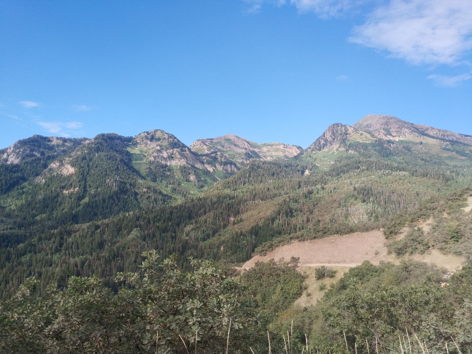 IMG_20190905_100747.jpg