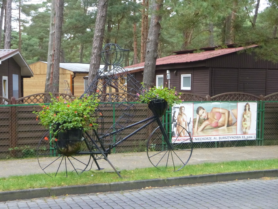 11 (16).JPG